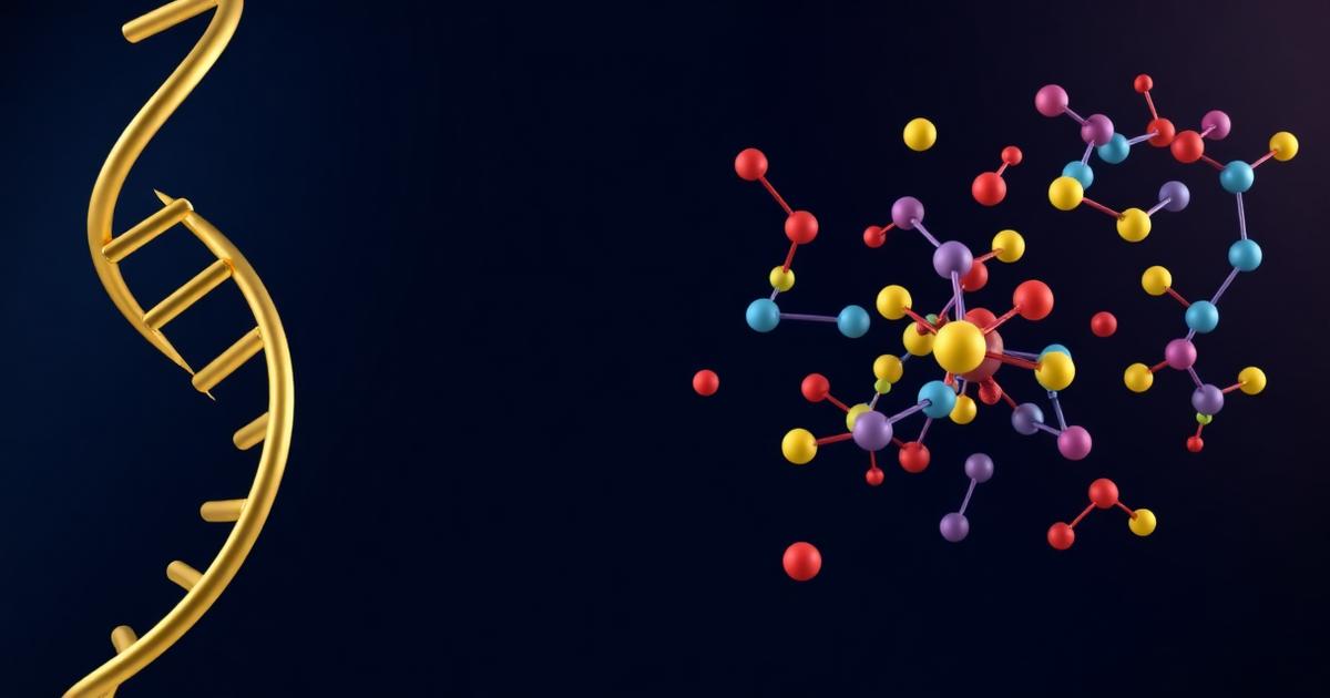 Аминокиселини – свойства, структура, класификация и функции