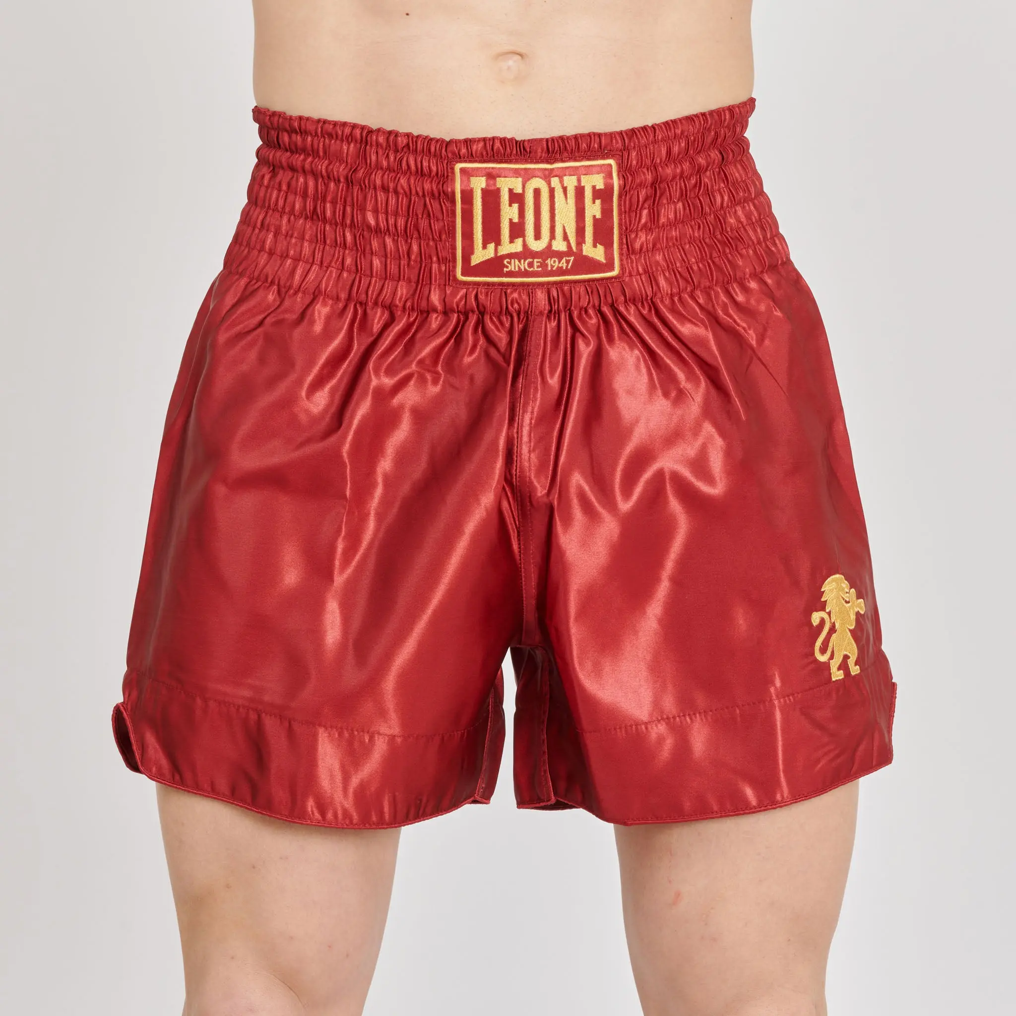 Leone 1947 - BASIC 2 KICK SHORTS - Blue - Муай Тай Шорти - AB970