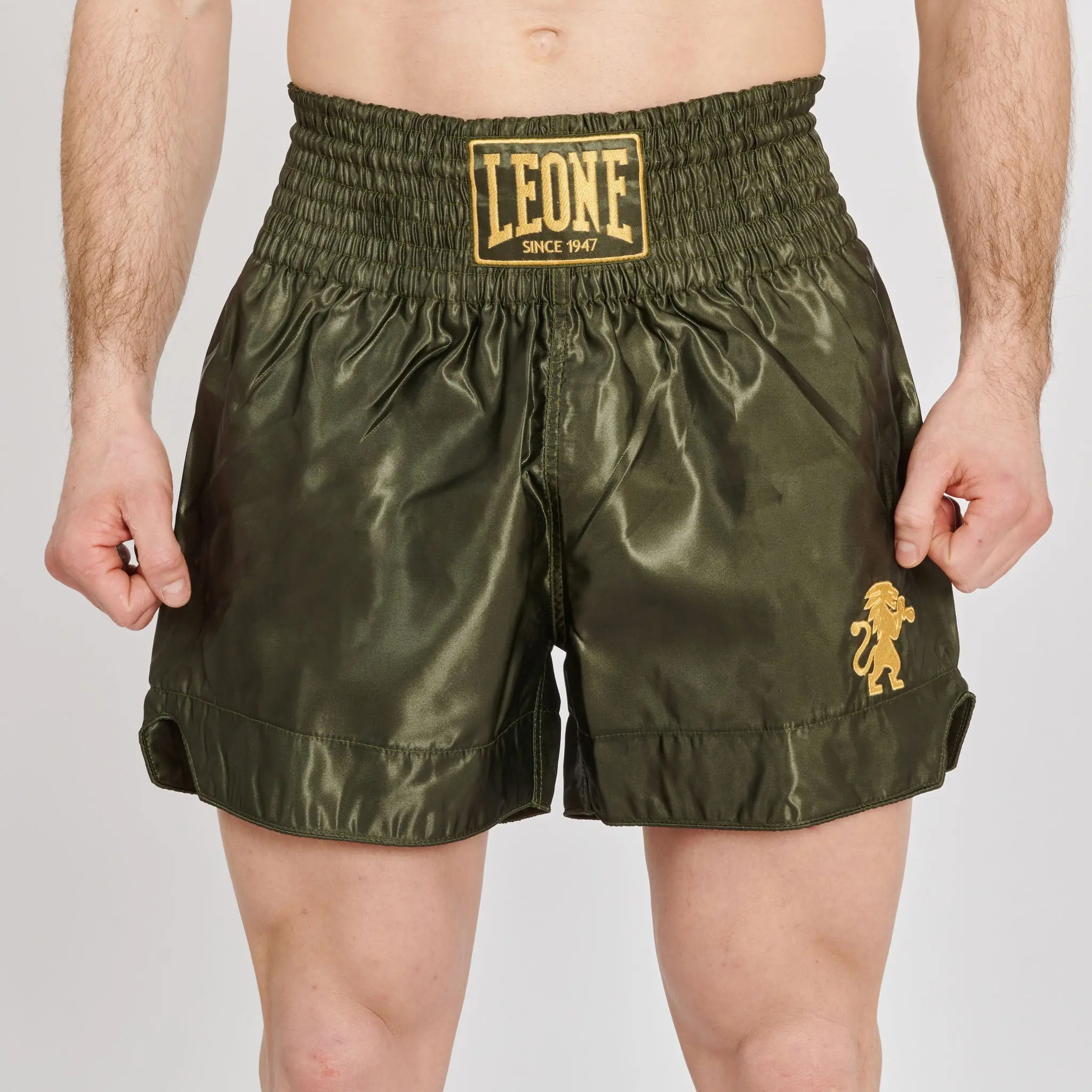 Leone - BASIC 2 KICK SHORTS - Green - Muay Thai Şortu - AB970